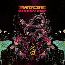 Transcenic – Discovery