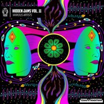 VA – Hidden Jams Vol. 11
