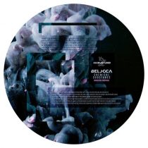 Belocca, Reeon – Chemical Substance – REEON Remix