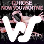 DJ Rose – Now You Want Me