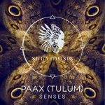 Stefan Obermaier, PAAX (Tulum) – Senses