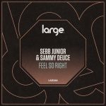 Sebb Junior, Sammy Deuce – Feel So Right