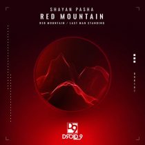 Shayan Pasha – Red Mountain