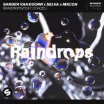 Sander Van Doorn, Selva, Macon, Chacel – Raindrops (feat. Chacel) [Extended Mix]