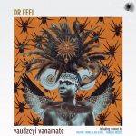 Dr Feel – Vaudzeyi Vanamate