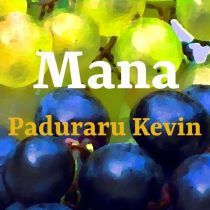 Paduraru Kevin – Mana (Workout Music)