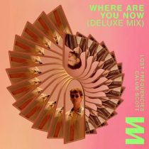 Lost Frequencies, Calum Scott – Where Are You Now  (Deluxe Extended Remix)