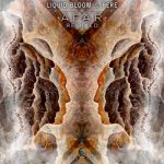 Liquid Bloom, Pere – Afar Remixed