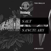 Ten Walls – Salt Sanctuary