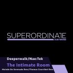 Nae:Tek, Deeperwalk – The Intimate Room ( the Remixes )