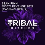 Sean Finn – Disco Revenge 2021 (Cassimm Remix)