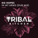 No Hopes – In My Arms (Dub Mix)
