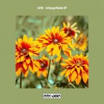Afm – Unforgettable EP