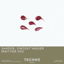 Sandor, Vincent Vaguer – Wait For You (Extended Mix)