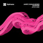 Aardy, Shaun Moses – Quantize