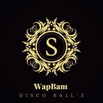 Disco Ball’z – WapBam