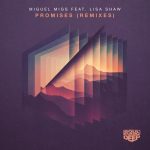Miguel Migs, Lisa Shaw – Promises – Remixes