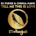 DJ Fudge, Chinua Hawk – Tell Me This Is Love