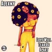 Alexny – Love Will Tear Us Apart