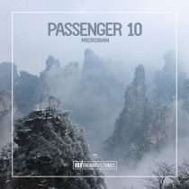Passenger 10 – Microban