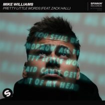 Mike Williams, Zack Hall – Pretty Little Words (feat. Zack Hall) [Extended Mix]
