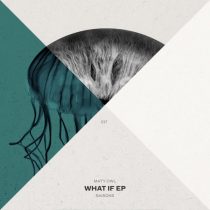 Maty Owl – What If