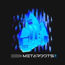 VA – Metaroots 2