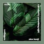 Alex Kenji – Can U Feel It | Something Right