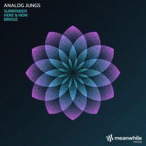 Analog Jungs – Surrender