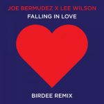 Joe Bermudez, Lee Wilson – Falling In Love (Birdee Remix)