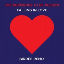 Joe Bermudez, Lee Wilson – Falling In Love (Birdee Remix)
