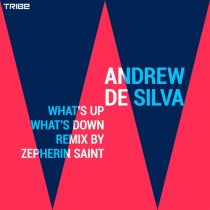 Andrew De Silva – What’s up Whats Down