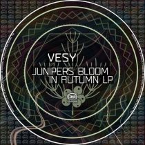 Vesy – Junipers Bloom In Autumn LP