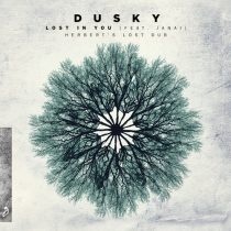 Dusky, Janai – Lost In You (Herbert’s Lost Dub)