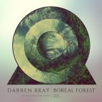 Darren Bray – Boreal Forest