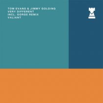 Tom Evans, Jimmy Golding – Very Different