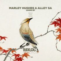 Alley SA, Marley Hughes – Oasis