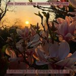 The Rurals, Andy Compton, Charlie Hearnshaw – Springtime Sounds E.P