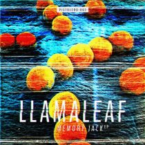 Llamaleaf – Memory Jack EP