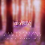 Lee Burridge, Lost Desert – The Wildcard Rhapsody EP
