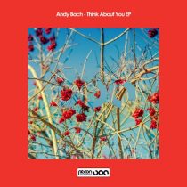 Andy Bach – Think About You EP