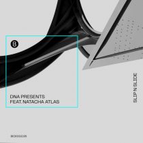 Roman Rai, Charlie May, Dimitri Nakov, Natacha Atlas, DNA Presents – Slip n Slide