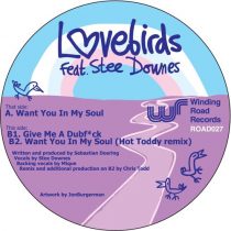 Lovebirds – Want You In My Soul (feat. Stee Downes)