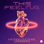 Vintage Culture, Goodboys – This Feeling