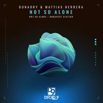 Mattias Herrera, Dunadry – Not So Alone