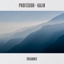 Professor – Kalin
