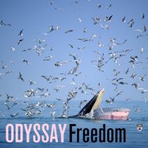 ODYSSAY – Freedom