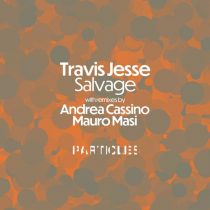 Travis Jesse – Salvage