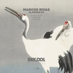 Marcos Rivas – Elapidae