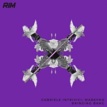 Gabriele Intrivici, markyno – Bringing Bang